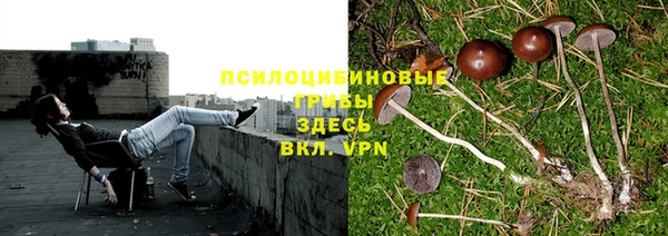 бутират Алексин